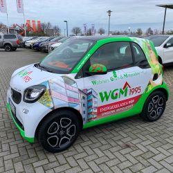 WGM 1995 Smart