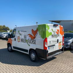 Malerfüchse Transporter